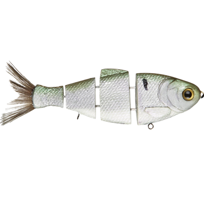 Bull Shad Floating Swimbait