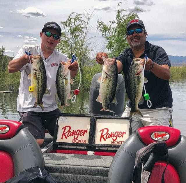 CULL BANDIT - Safe Culling System